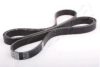 ASHIKA 112-6PK2085 V-Ribbed Belts
